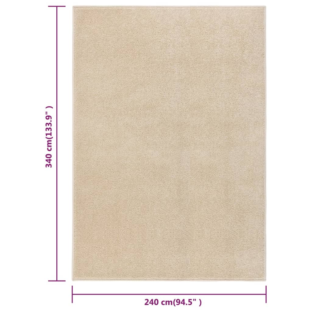 Rug Short Pile 240x340 cm Beige