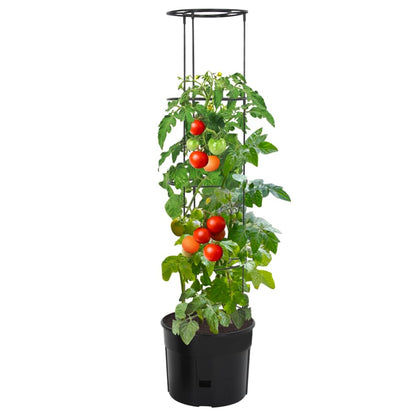 Tomato Grower Anthracite Ø39x150 cm Polypropylene