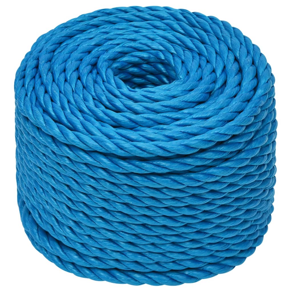 Work Rope Blue 10 mm 25 m Polypropylene