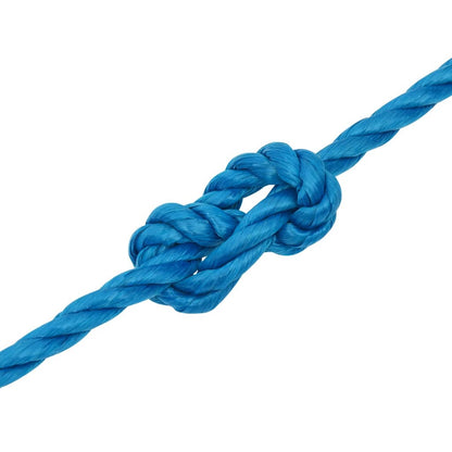 Work Rope Blue 10 mm 25 m Polypropylene