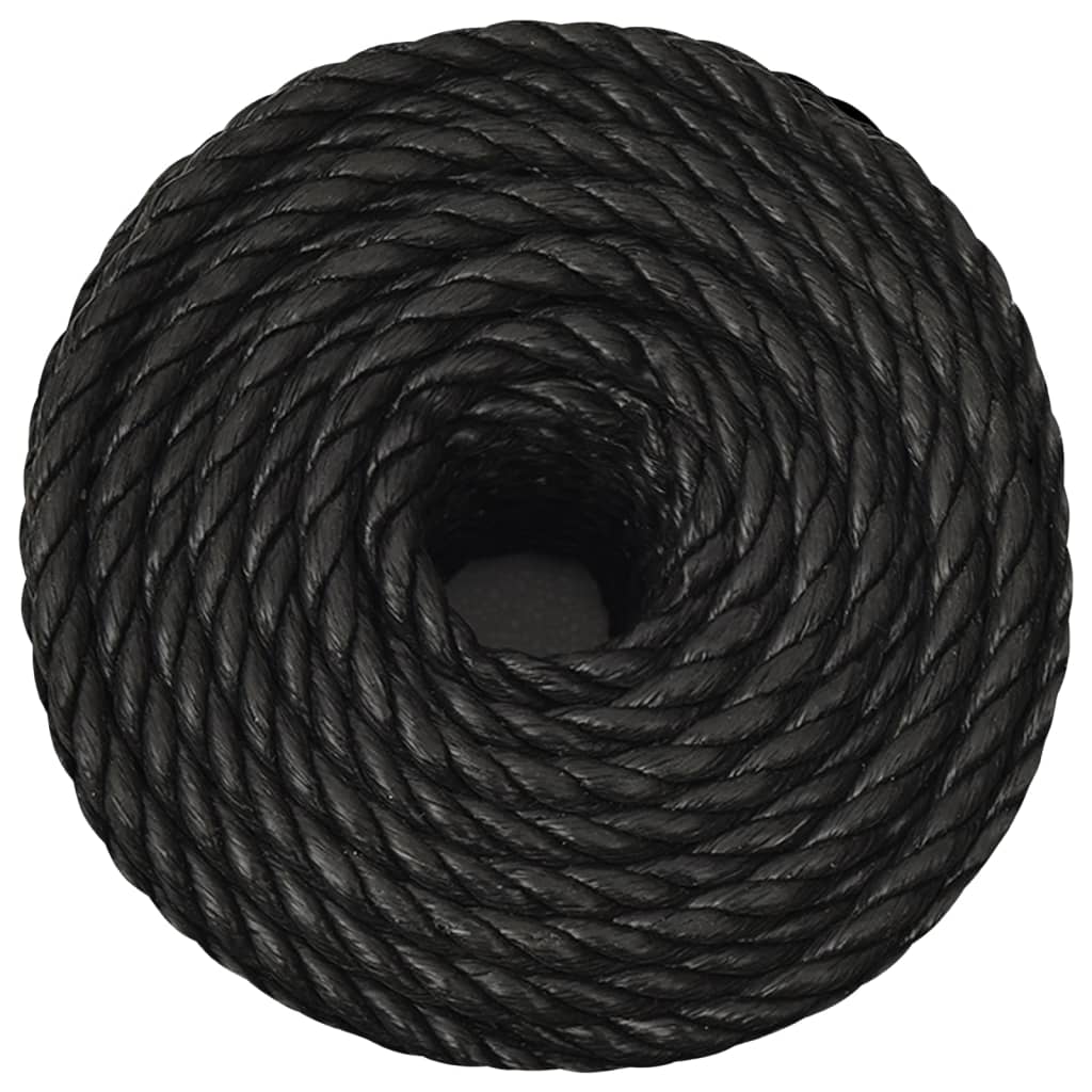 Work Rope Black 10 mm 100 m Polypropylene