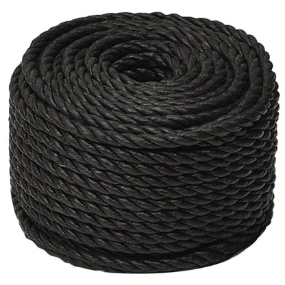 Work Rope Black 10 mm 250 m Polypropylene