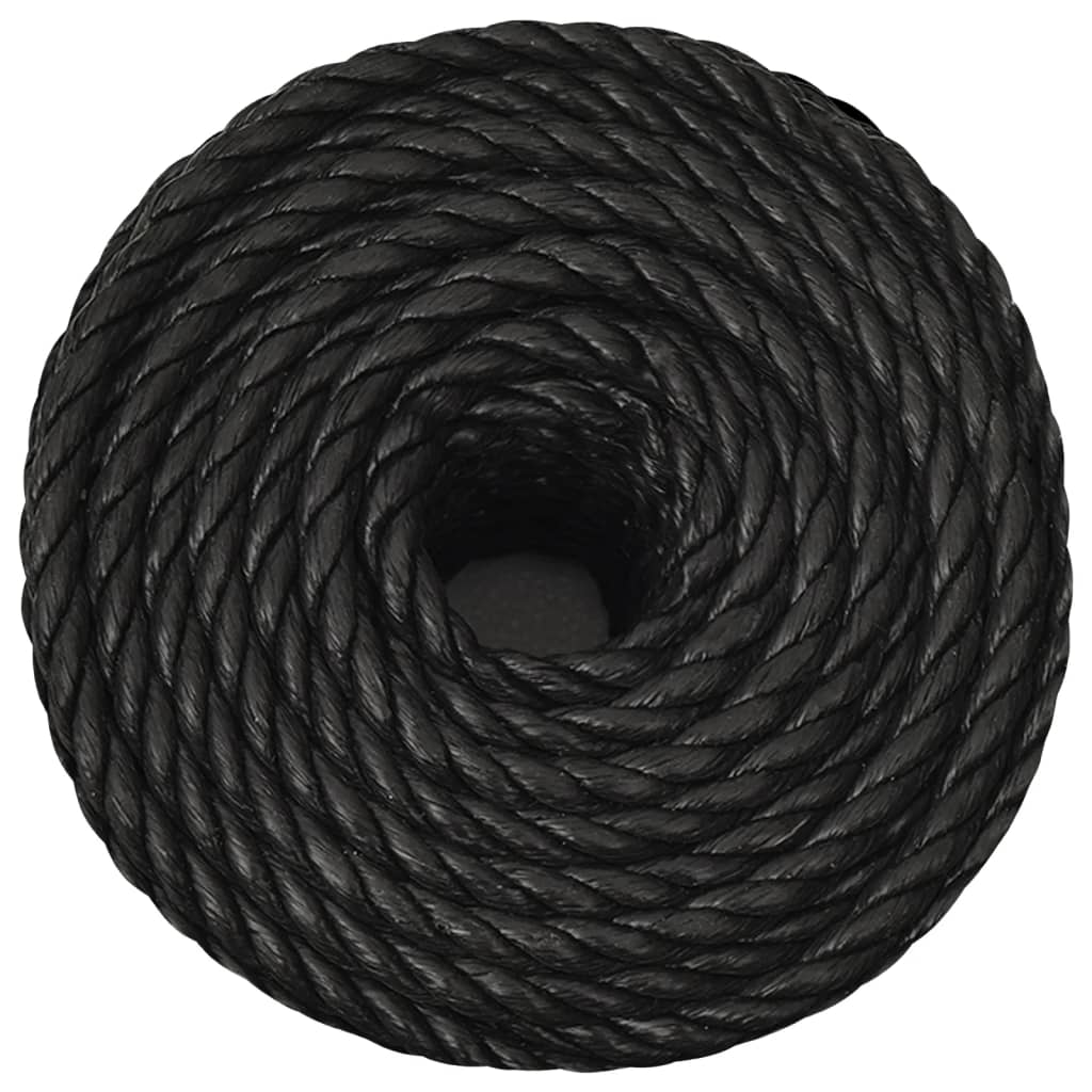 Work Rope Black 10 mm 250 m Polypropylene