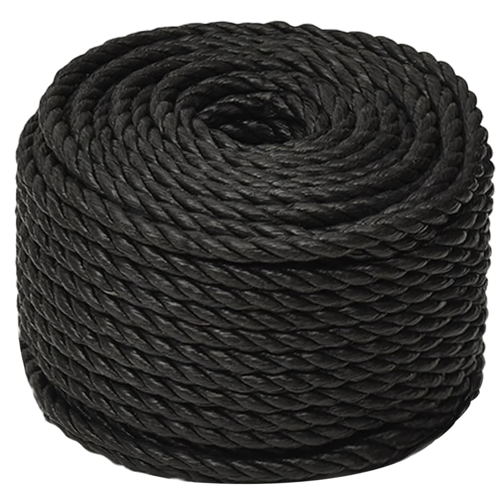 Work Rope Black 10 mm 500 m Polypropylene