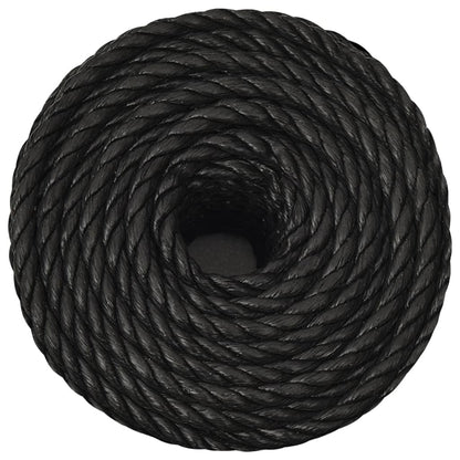 Work Rope Black 10 mm 500 m Polypropylene