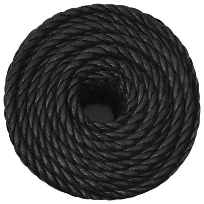 Work Rope Black 12 mm 250 m Polypropylene