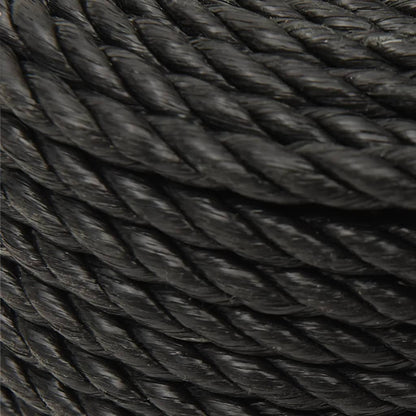 Work Rope Black 12 mm 250 m Polypropylene