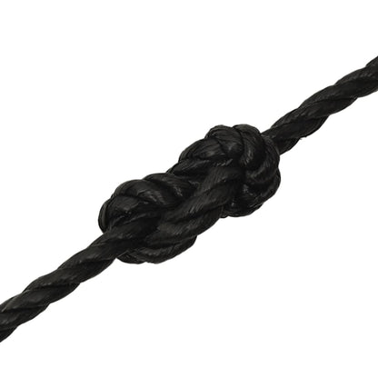 Work Rope Black 12 mm 250 m Polypropylene