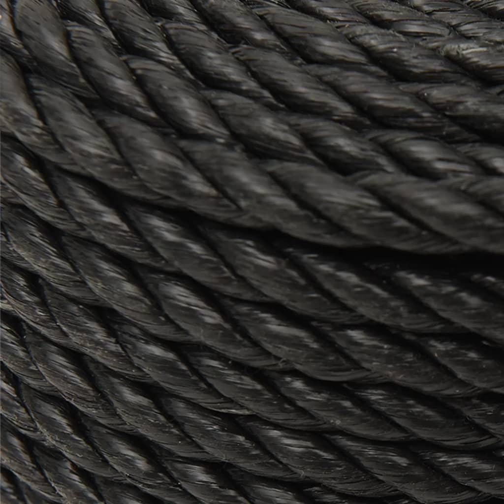 Work Rope Black 16 mm 100 m Polypropylene