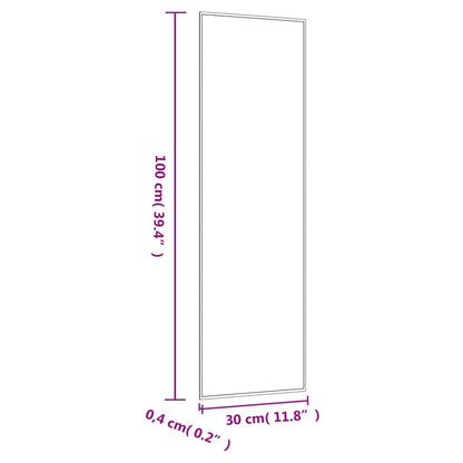 Wall Mirror 30x100 cm Glass Rectangle