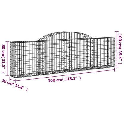 Arched Gabion Baskets 10 pcs 300x30x80/100 cm Galvanised Iron