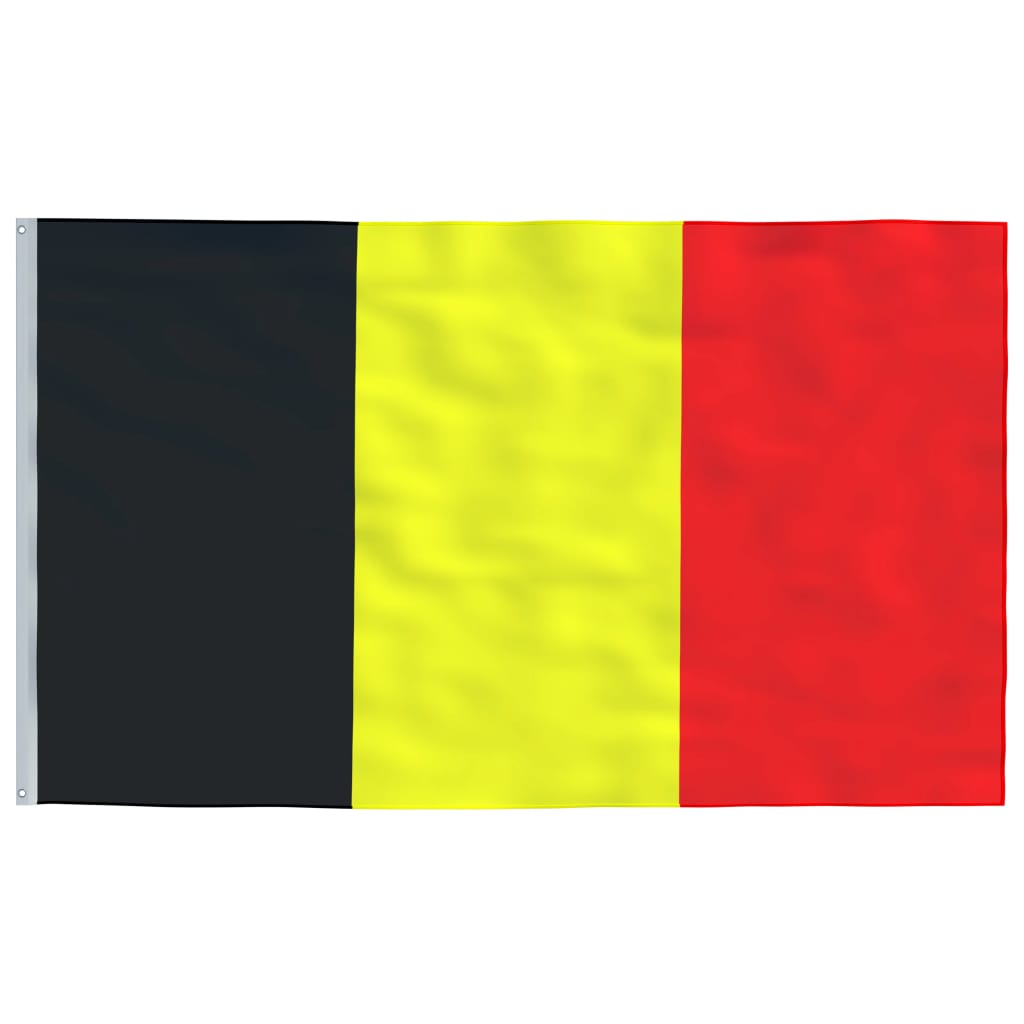 Belgium Flag and Pole 6.23 m Aluminium