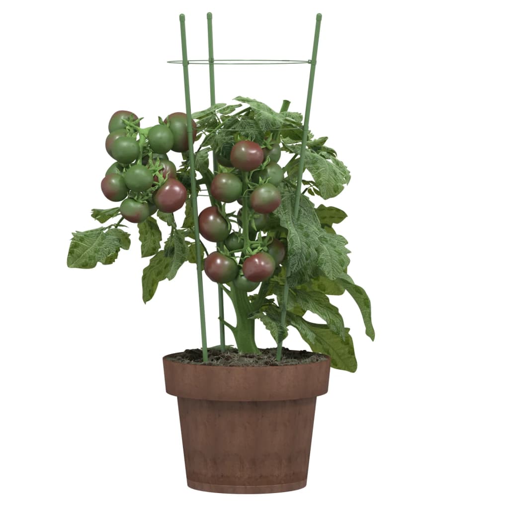 Garden Plant Supports with 3 Rings 5 pcs Green 45 cm Steel