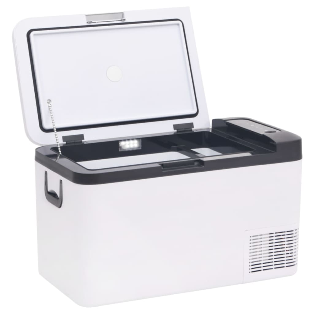 Cool Box with Handle Black and White 18 L PP & PE