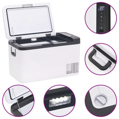 Cool Box with Handle Black and White 18 L PP & PE