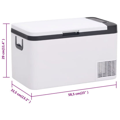 Cool Box with Handle Black and White 18 L PP & PE