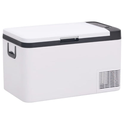 Cool Box with Handle and Adapter Black and White 18 L PP & PE