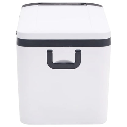 Cool Box with Handle and Adapter Black and White 18 L PP & PE