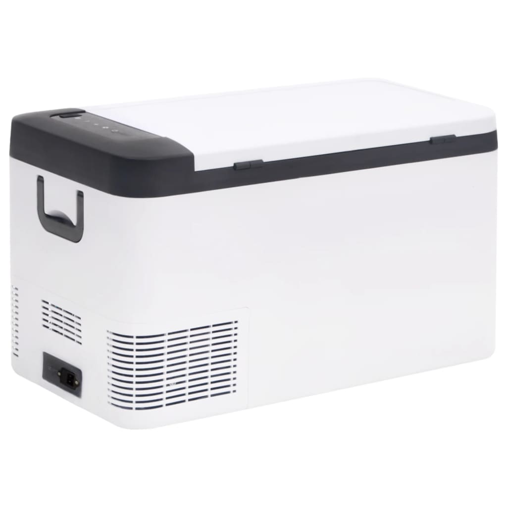 Cool Box with Handle and Adapter Black and White 18 L PP & PE