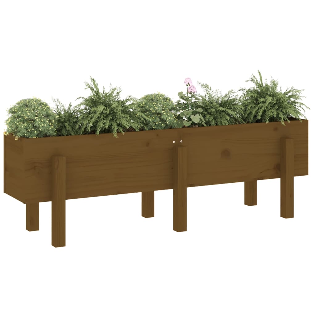 Garden Raised Bed Honey Brown 121x30x38 cm Solid Wood Pine