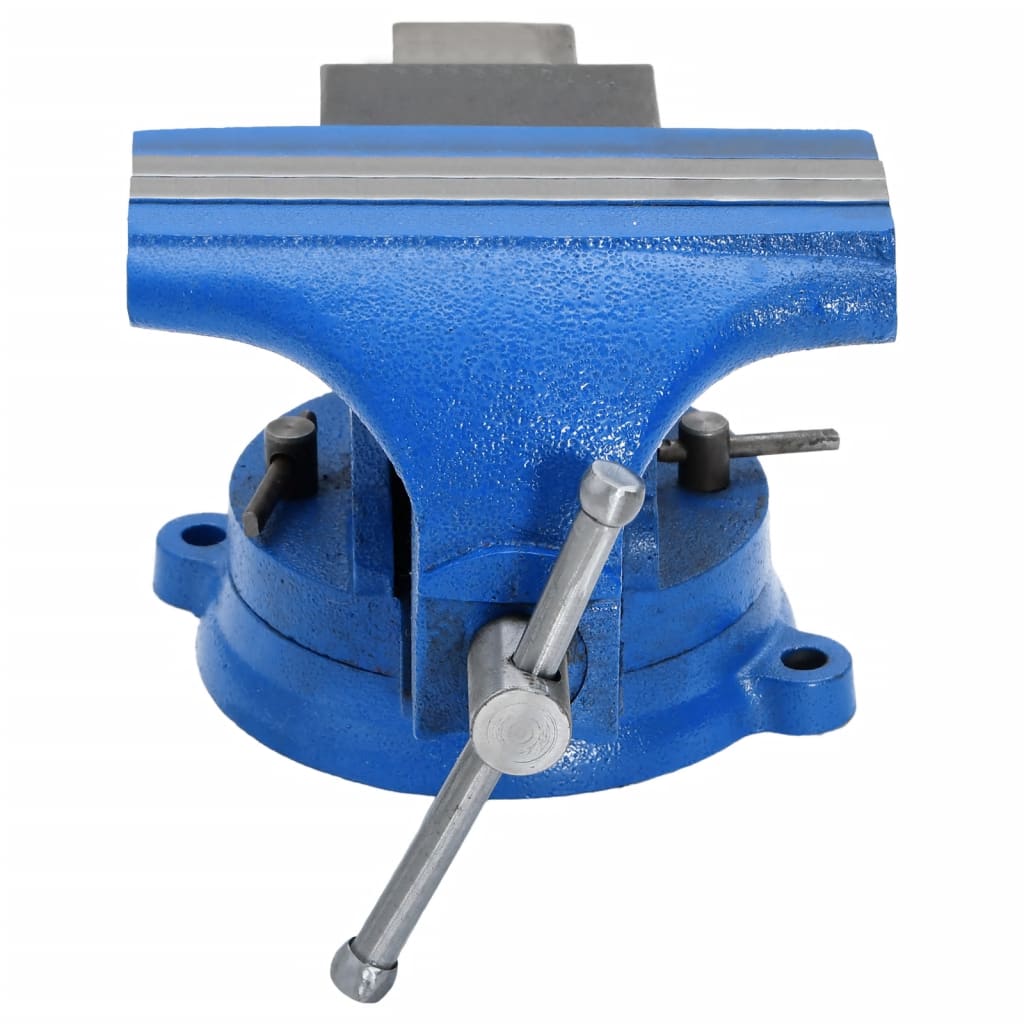 Bench Vise Blue 100 mm Cast Iron