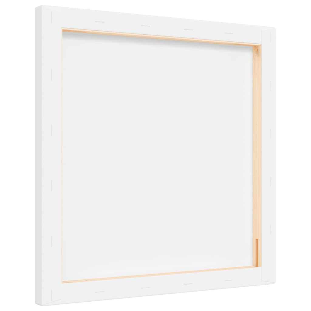 Stretched Canvases 12 pcs White Fabric and Solid Wood Pine