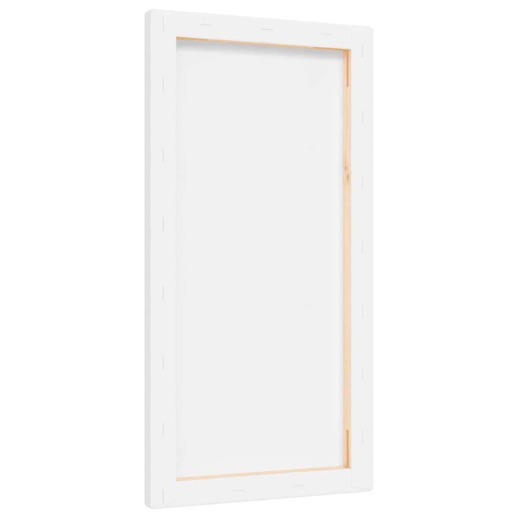 Stretched Canvases 12 pcs White Fabric and Solid Wood Pine