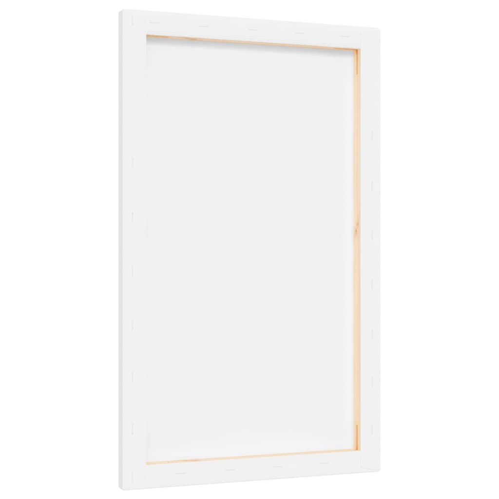 Stretched Canvases 12 pcs White Fabric and Solid Wood Pine