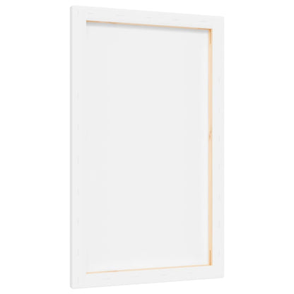 Stretched Canvases 12 pcs White Fabric and Solid Wood Pine