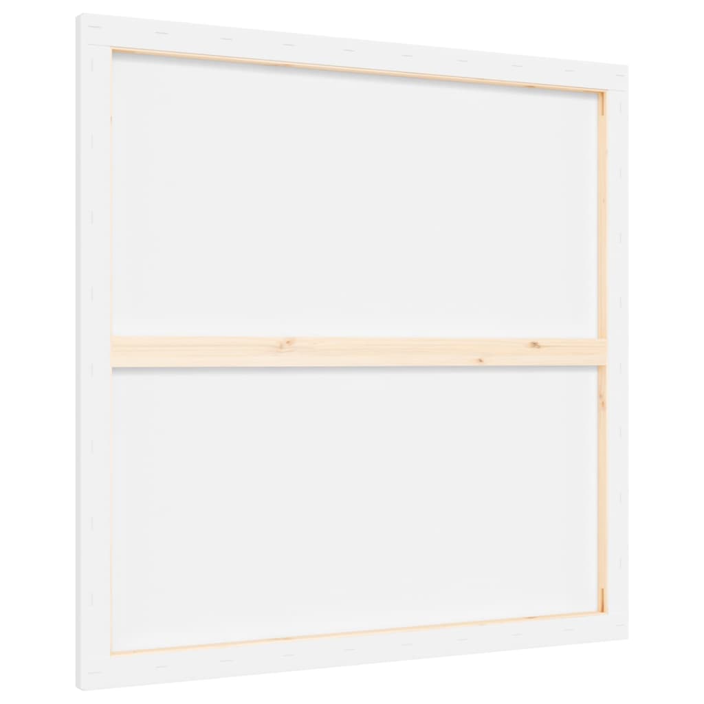 Stretched Canvases 12 pcs White Fabric and Solid Wood Pine