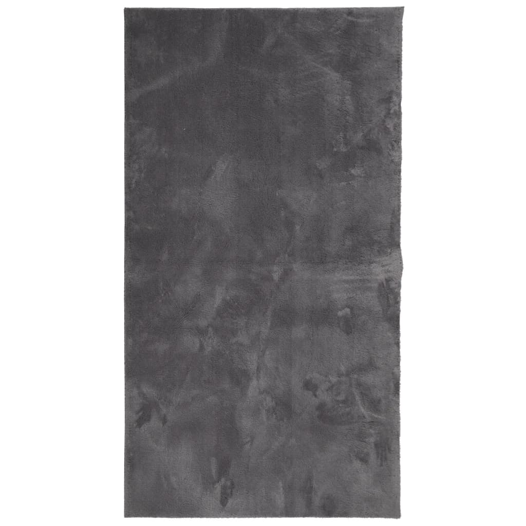 Rug HUARTE Short Pile Soft and Washable Anthracite 60x110 cm