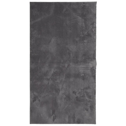 Rug HUARTE Short Pile Soft and Washable Anthracite 60x110 cm