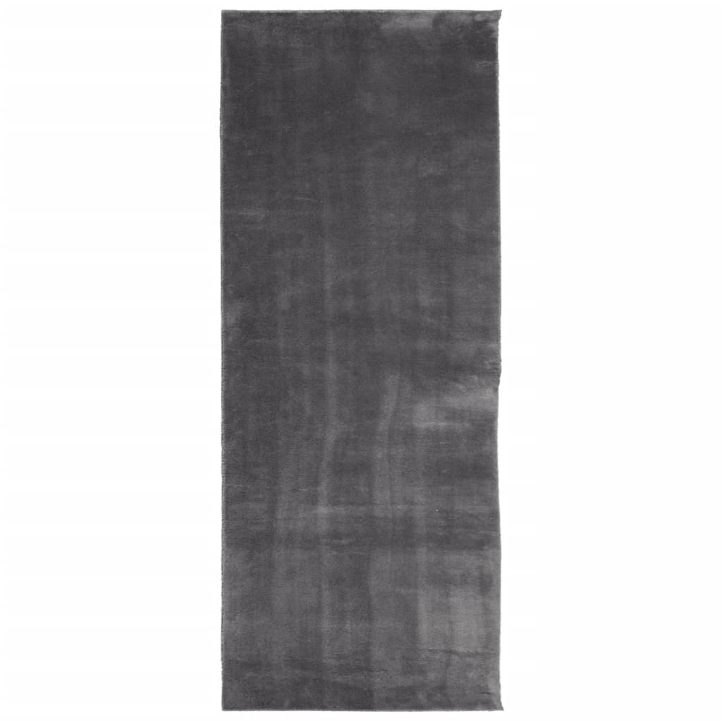 Rug HUARTE Short Pile Soft and Washable Anthracite 80x200 cm