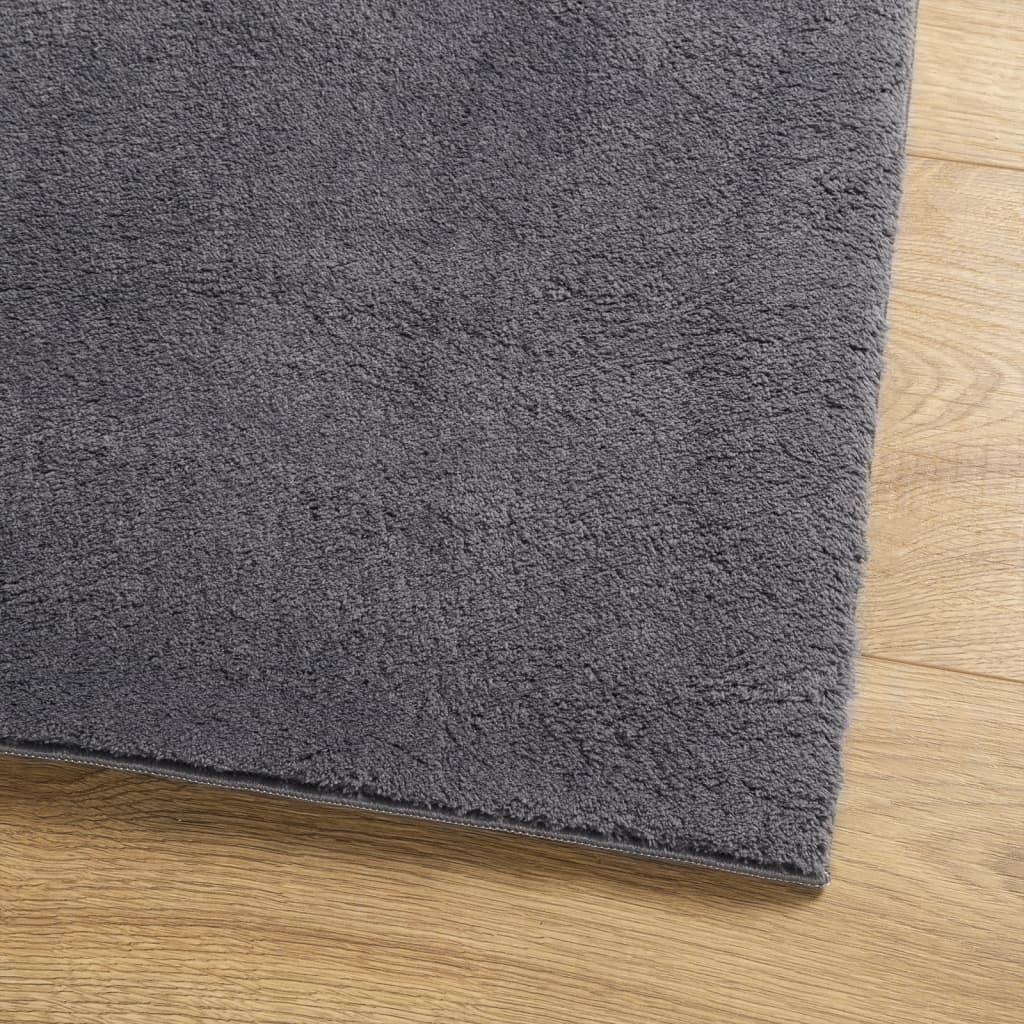 Rug HUARTE Short Pile Soft and Washable Anthracite 80x200 cm