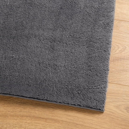 Rug HUARTE Short Pile Soft and Washable Anthracite 80x200 cm