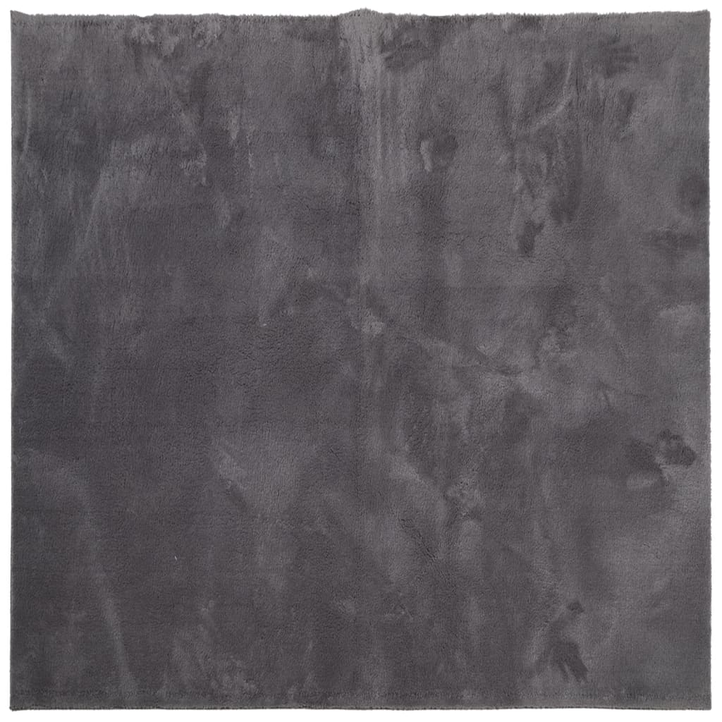 Rug HUARTE Short Pile Soft and Washable Anthracite 120x120 cm