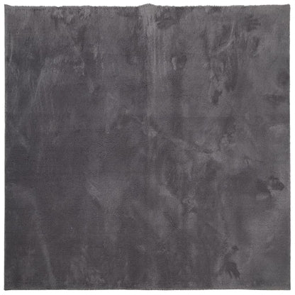 Rug HUARTE Short Pile Soft and Washable Anthracite 120x120 cm