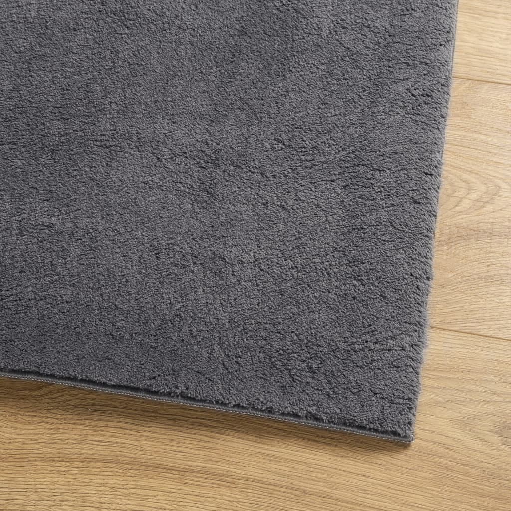 Rug HUARTE Short Pile Soft and Washable Anthracite 120x120 cm