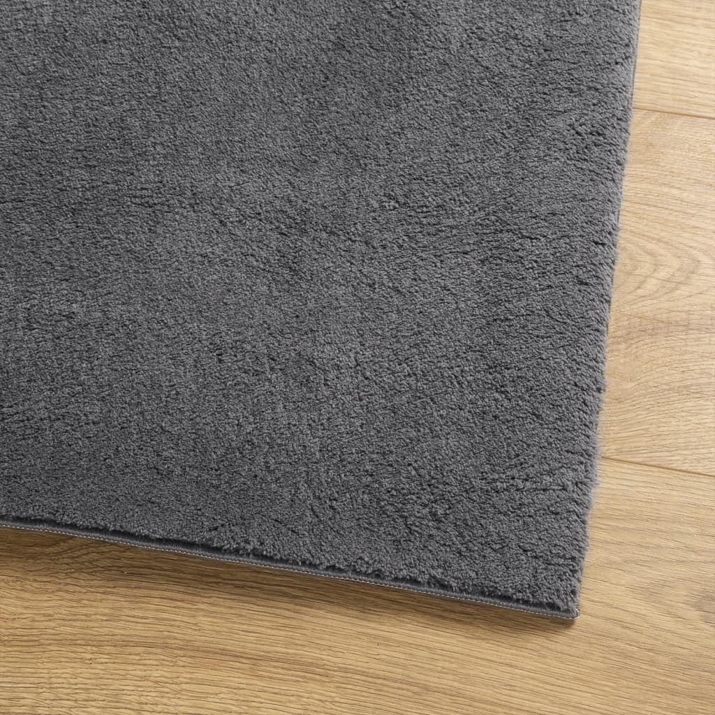 Rug HUARTE Short Pile Soft and Washable Anthracite 120x170 cm