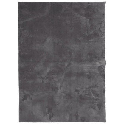 Rug HUARTE Short Pile Soft and Washable Anthracite 160x230 cm