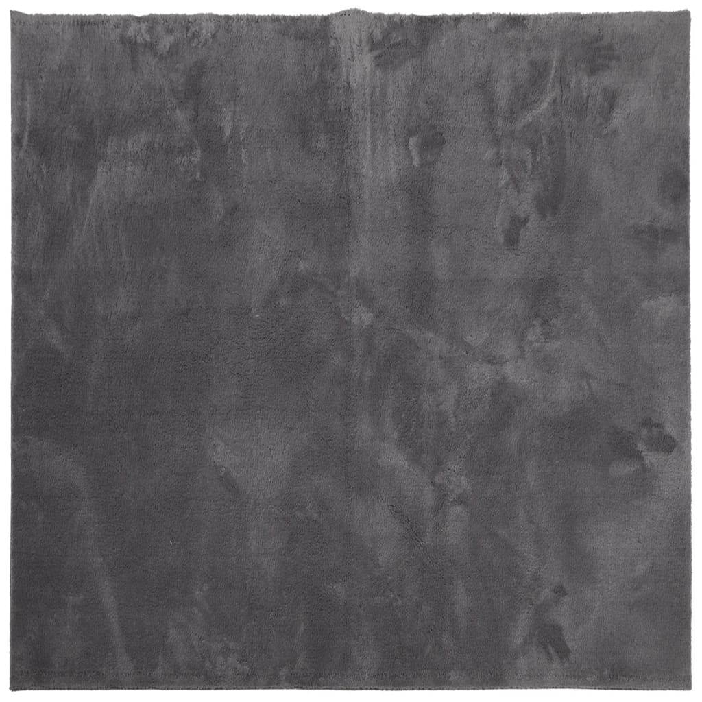 Rug HUARTE Short Pile Soft and Washable Anthracite 240x240 cm