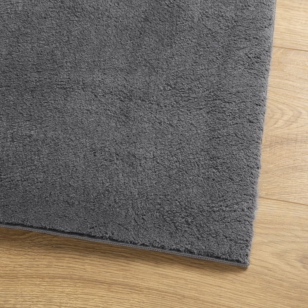 Rug HUARTE Short Pile Soft and Washable Anthracite 240x340 cm