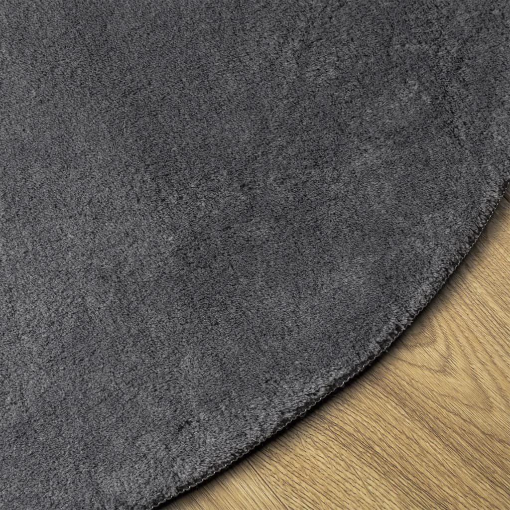 Rug HUARTE Short Pile Soft and Washable Anthracite Ø 80 cm