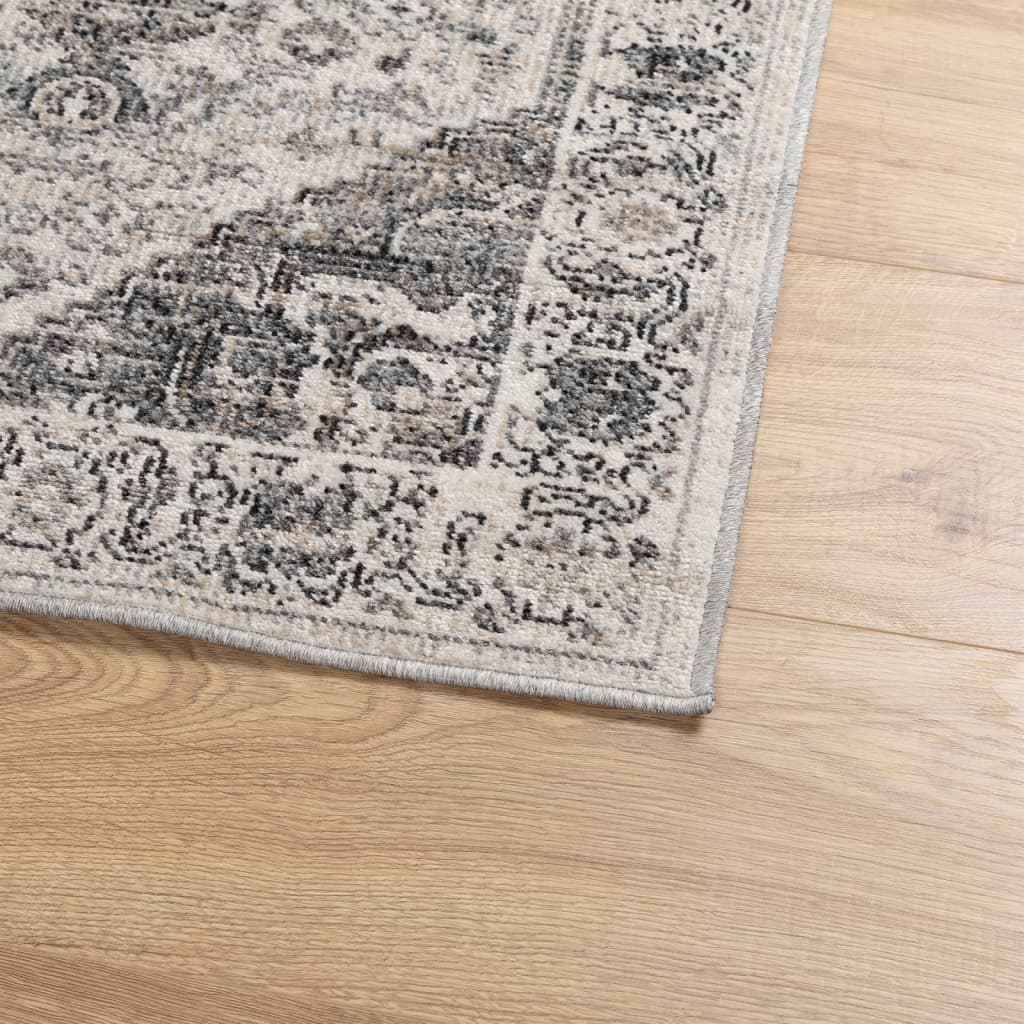 Rug ARBIZU Indoor and Outdoor Vintage Design 80x250 cm