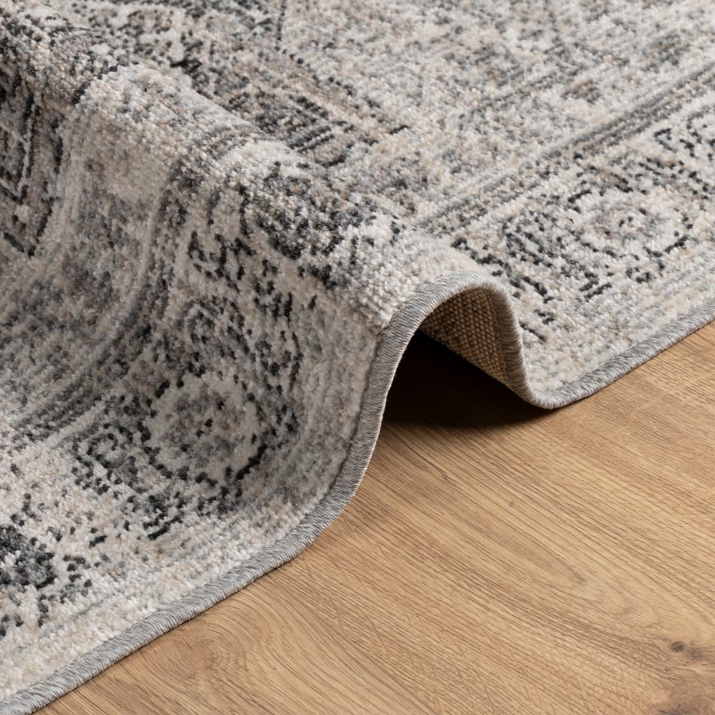 Rug ARBIZU Indoor and Outdoor Vintage Design 200x280 cm