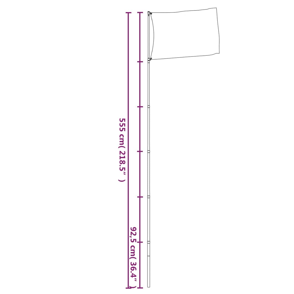 Ukraine Flag and Pole 5.55 m Aluminium