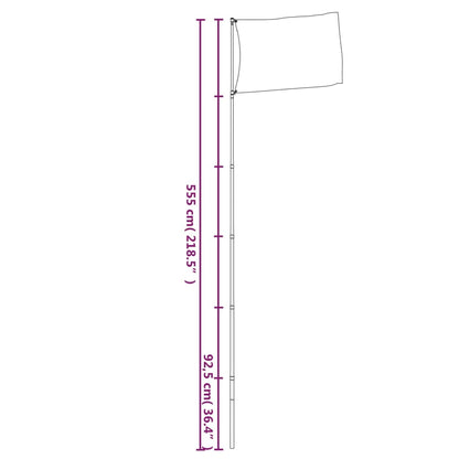 Ukraine Flag and Pole 5.55 m Aluminium