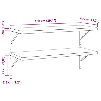 Wall Shelves 2 pcs 100x40 cm Silver Stainless Steel