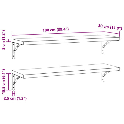 Wall Shelves 2 pcs 100x30 cm Silver Stainless Steel