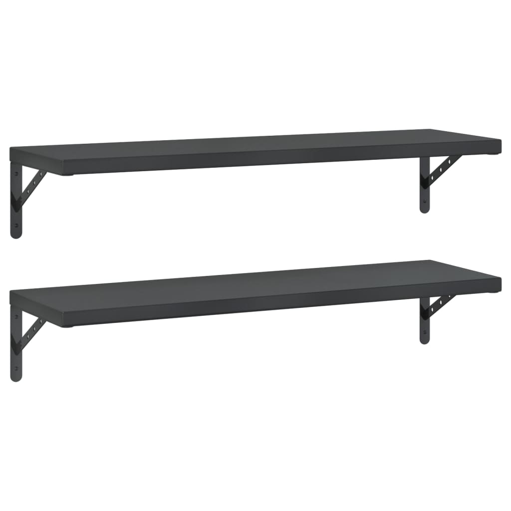 Wall Shelves 2 pcs 100x30 cm Black Stainless Steel